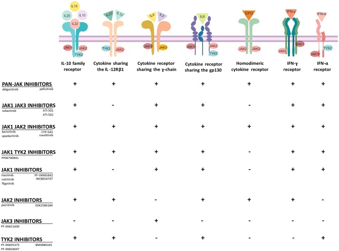 jak inhibitor drugs fda approved        
        <figure class=